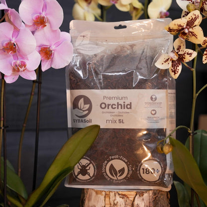 Super Orchidee Verzorgingsbundel